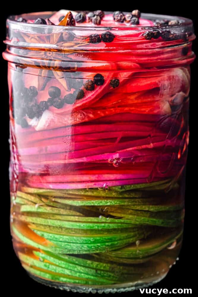 Crunchy Tangy Pickled Radishes Ready in Minutes 4 A glass mason jar filled with pickled radishes with green, pink and purple radishes with peppercorns and star anise in rosy brine, against a black background.