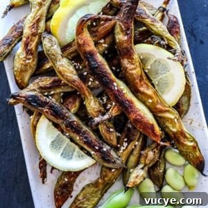 Roasted Fava Beans