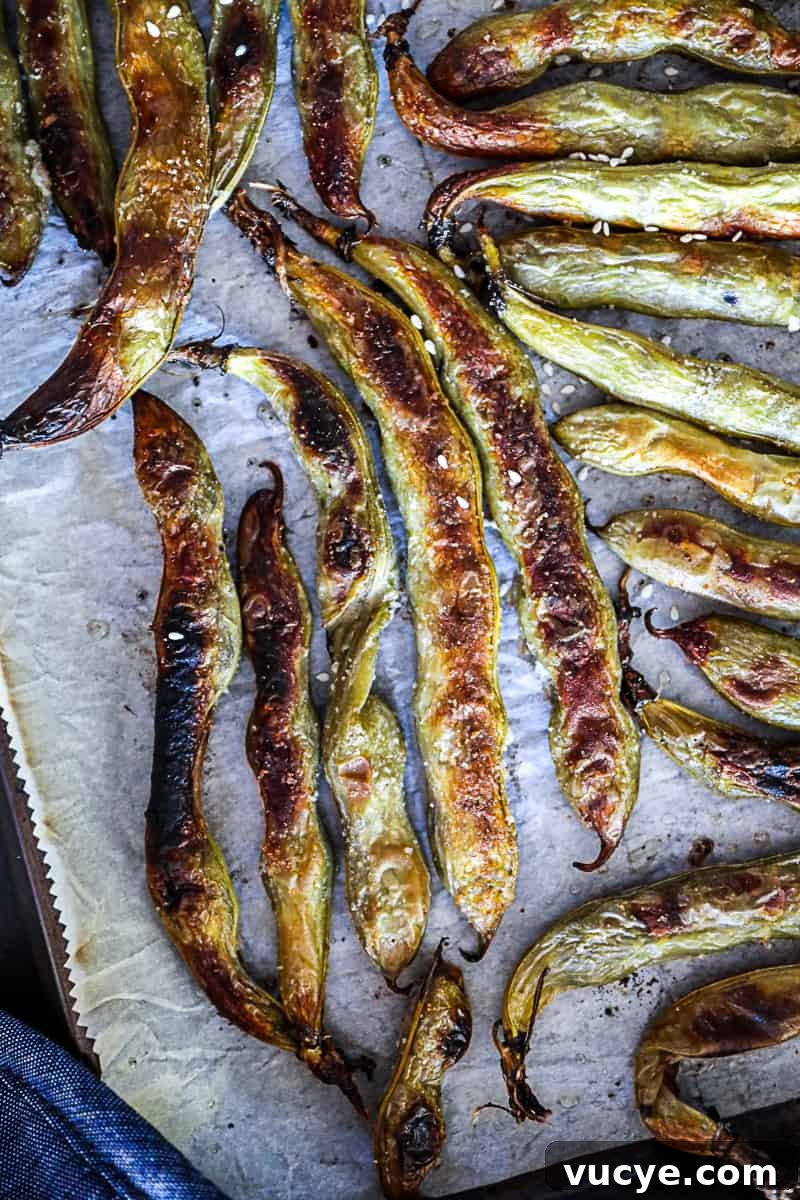 Charred oven baked Fava Beans on a sheet tray