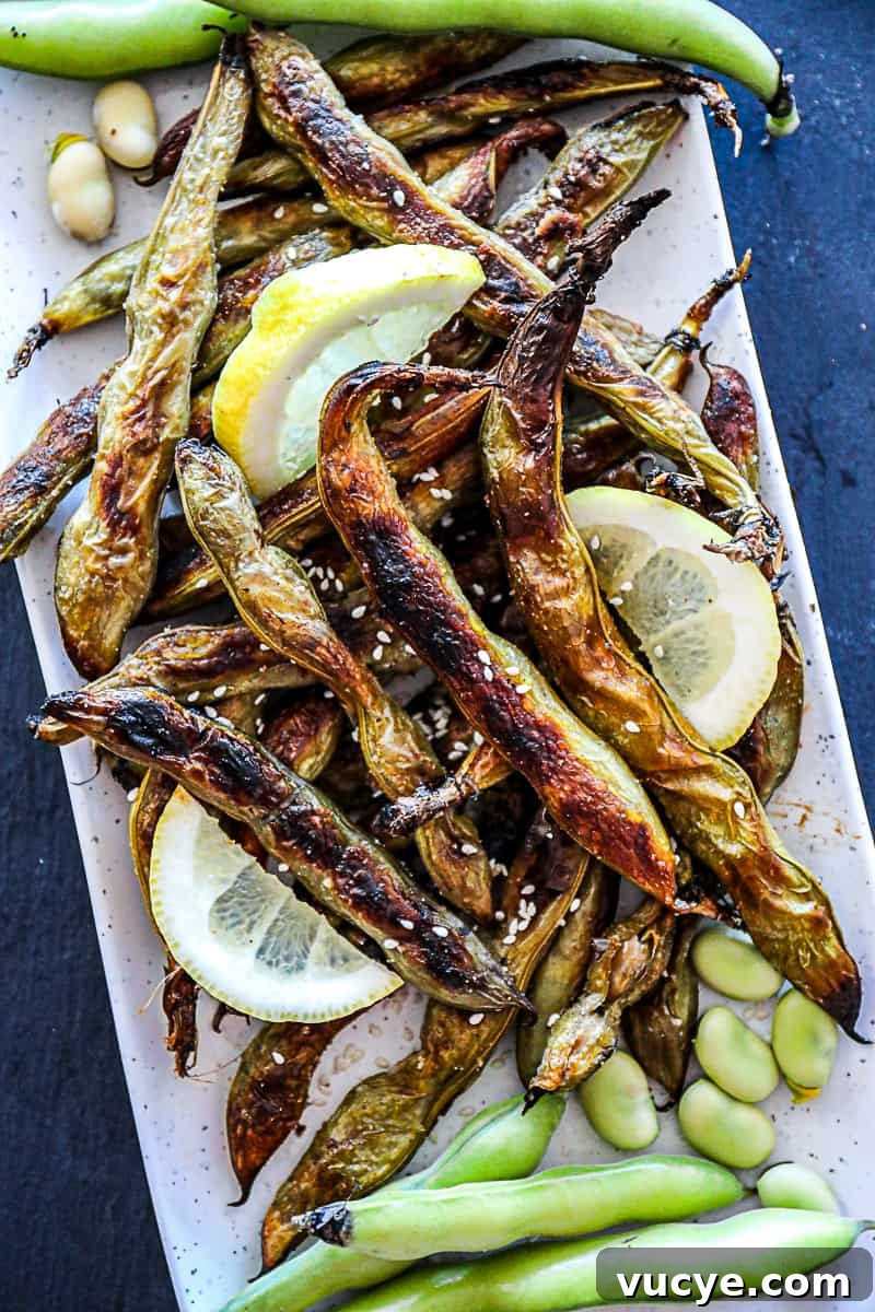 Roasted Fava Beans Appetizer Dish