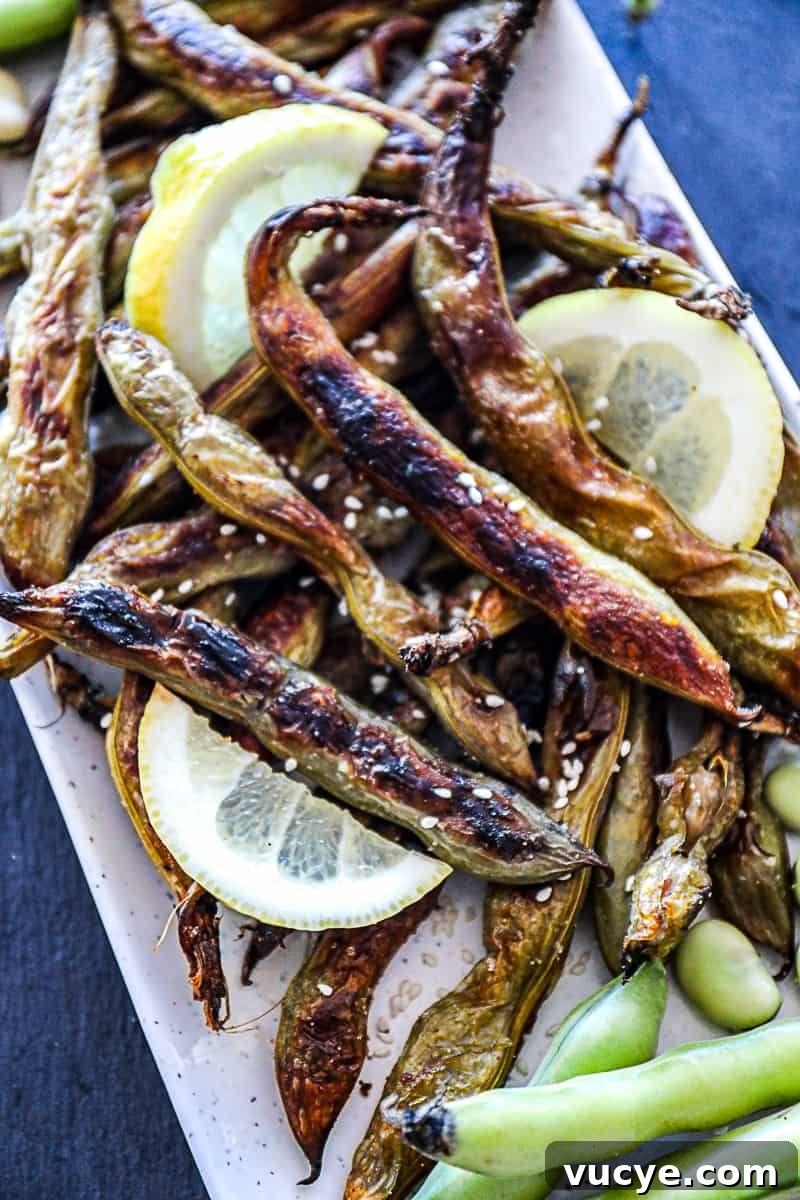 Oven Baked Fava Beans Side Dish