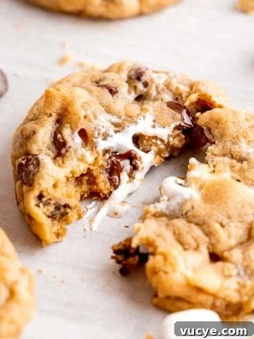 A s'mores cookie cut in half showing the melted chocolate and gooey marshmallows inside.