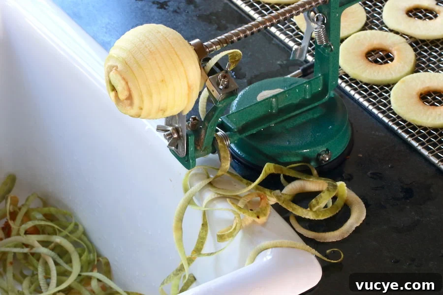 How to Dehydrate Apples at Home: Simple Step-by-Step Method 4 img 22471 3