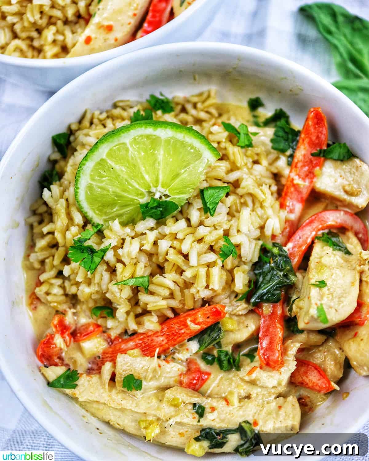 Thai coconut lime chicken with red bell pepper slices and lime slices over rice in a bowl.