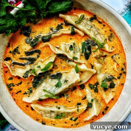 bowl of Thai red curry dumpling soup.