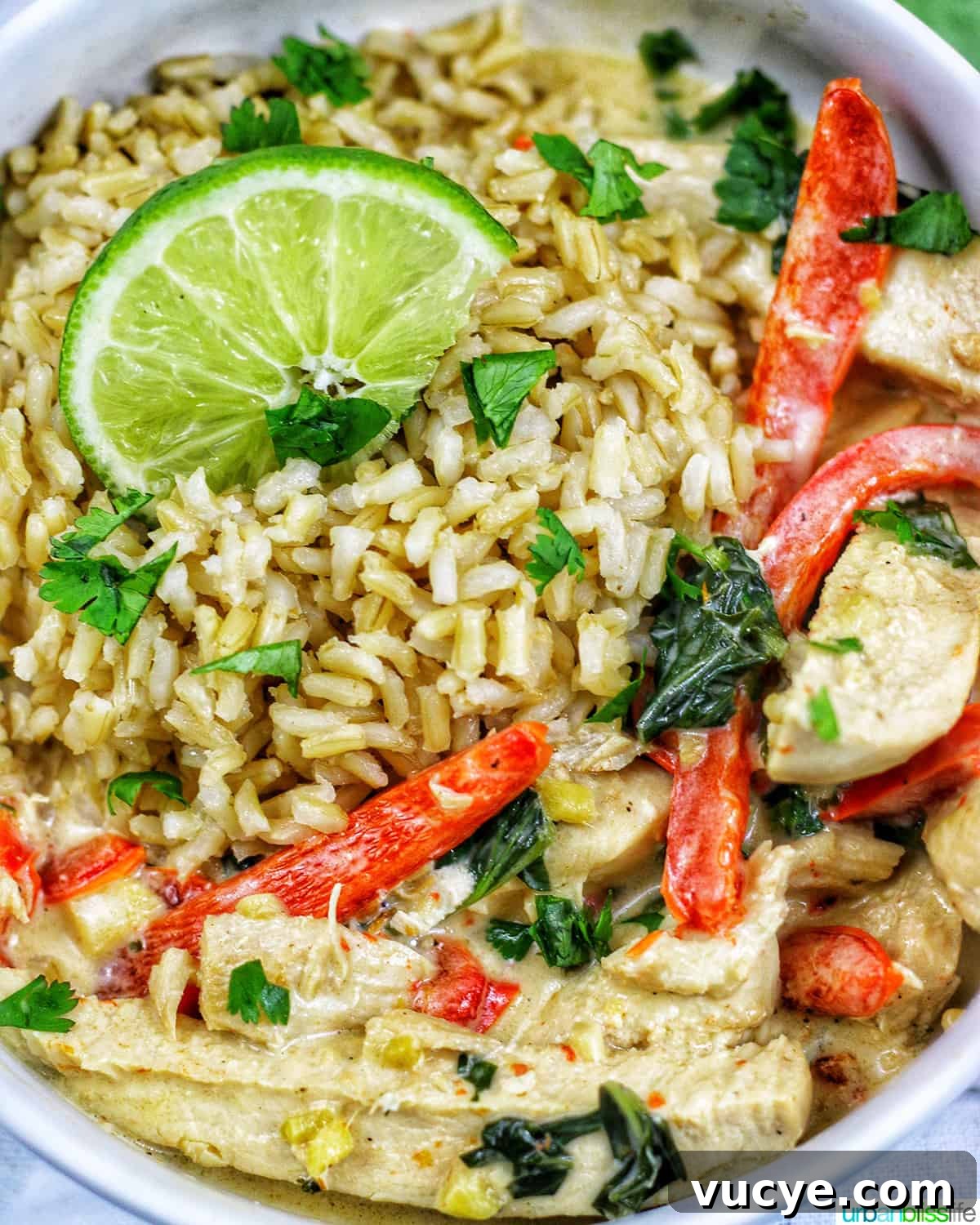 Thai coconut lime chicken with red bell pepper slices and lime slices over rice in a bowl.