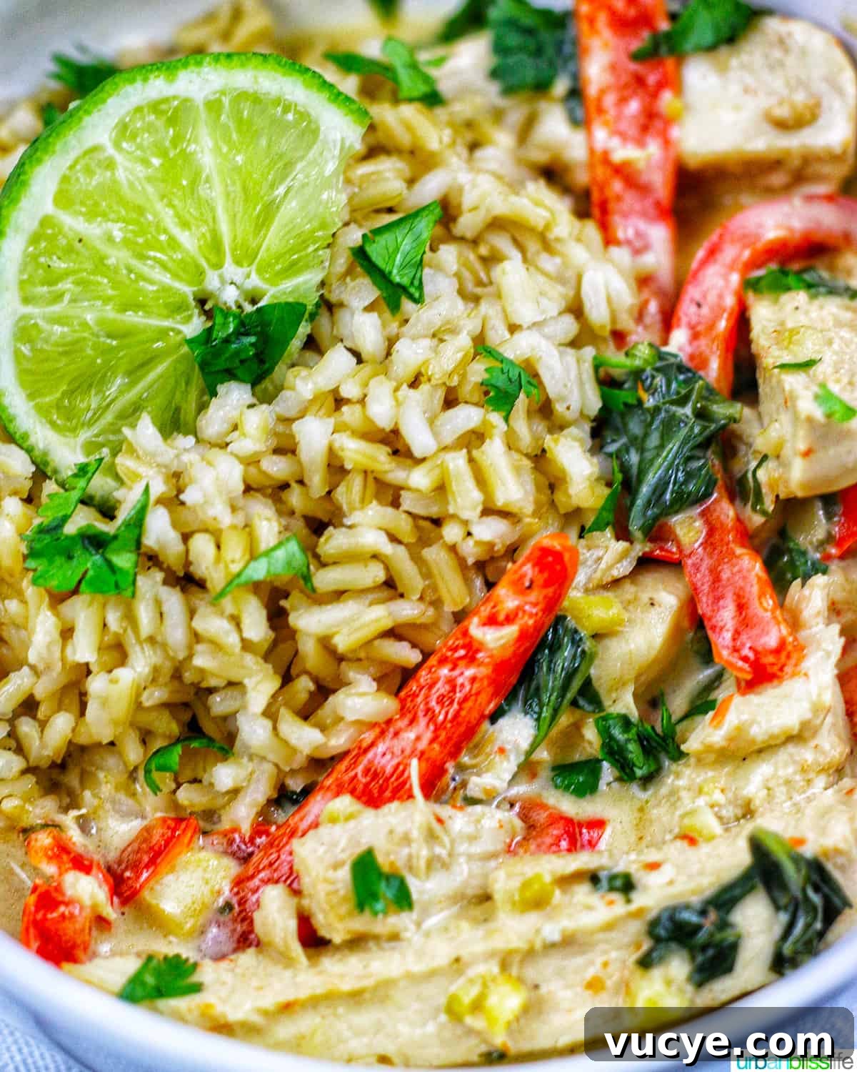 Thai coconut lime chicken with red bell pepper slices and lime slices over rice in a bowl.