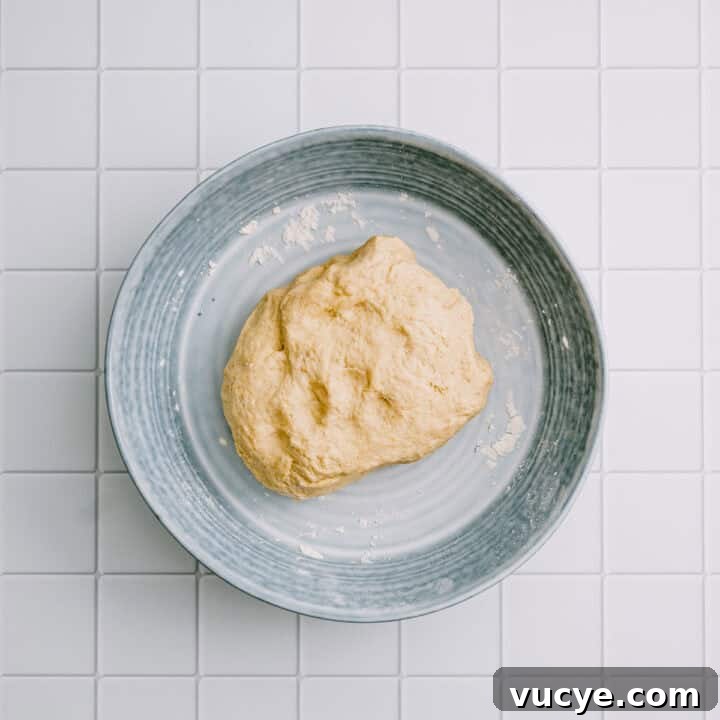 Dough for chickpea flatbread resting on a plate with flour.