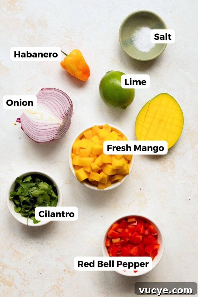 Mango Habanero Salsa Recipe: Fresh, Tangy, Spicy Mango Salsa 3 all ingredients in mango habanero salsa including fresh mango, cilantro, onion, bell pepper, lime, salt and a habanero pepper