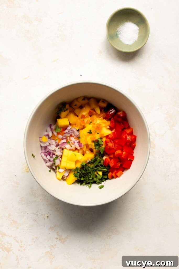 Mango Habanero Salsa Recipe: Fresh, Tangy, Spicy Mango Salsa 4 all ingredients in mango salsa in a bowl before mixing