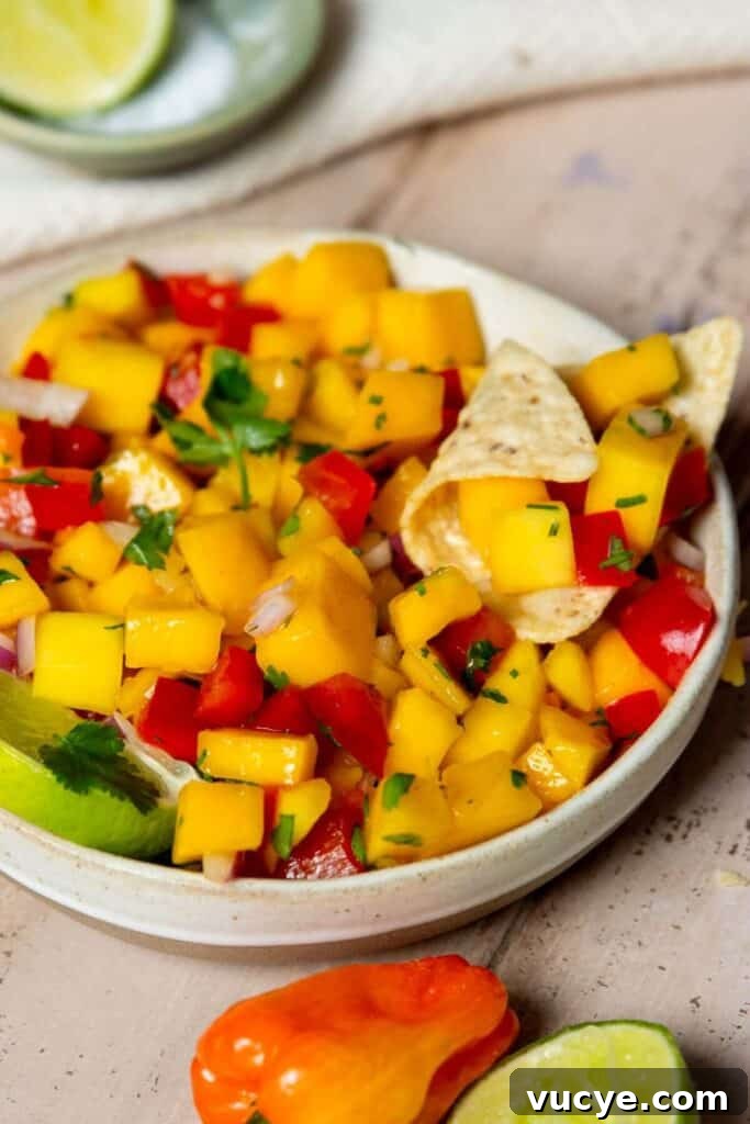 Mango Habanero Salsa Recipe: Fresh, Tangy, Spicy Mango Salsa 6 sweet and spicy mango habanero salsa