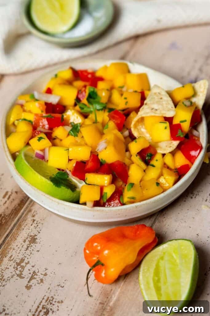 Mango Habanero Salsa Recipe: Fresh, Tangy, Spicy Mango Salsa 7 spicy mango salsa