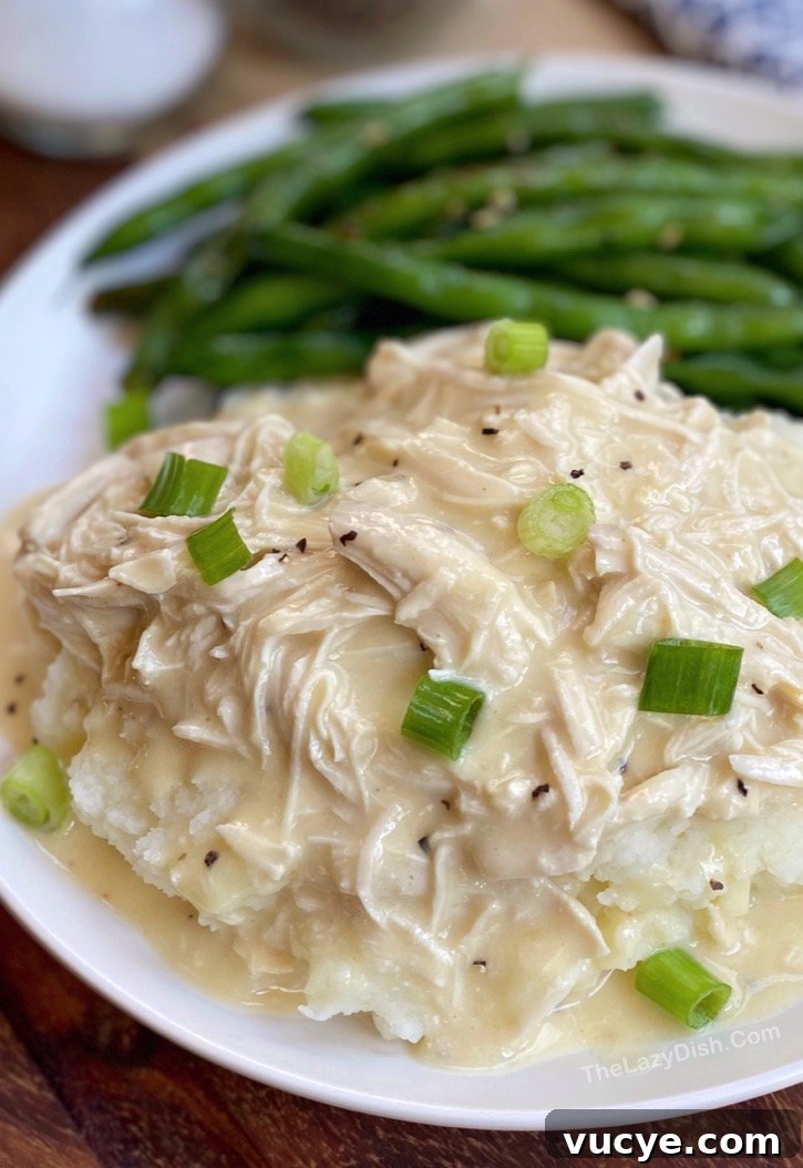 Slow Cooker Chicken and Creamy Gravy Recipe 5 Slow Cooker Shredded Chicken & Gravy -- Easy family dinner recipe! Perfect for busy moms and dads. Made with just a few simple and cheap ingredients.