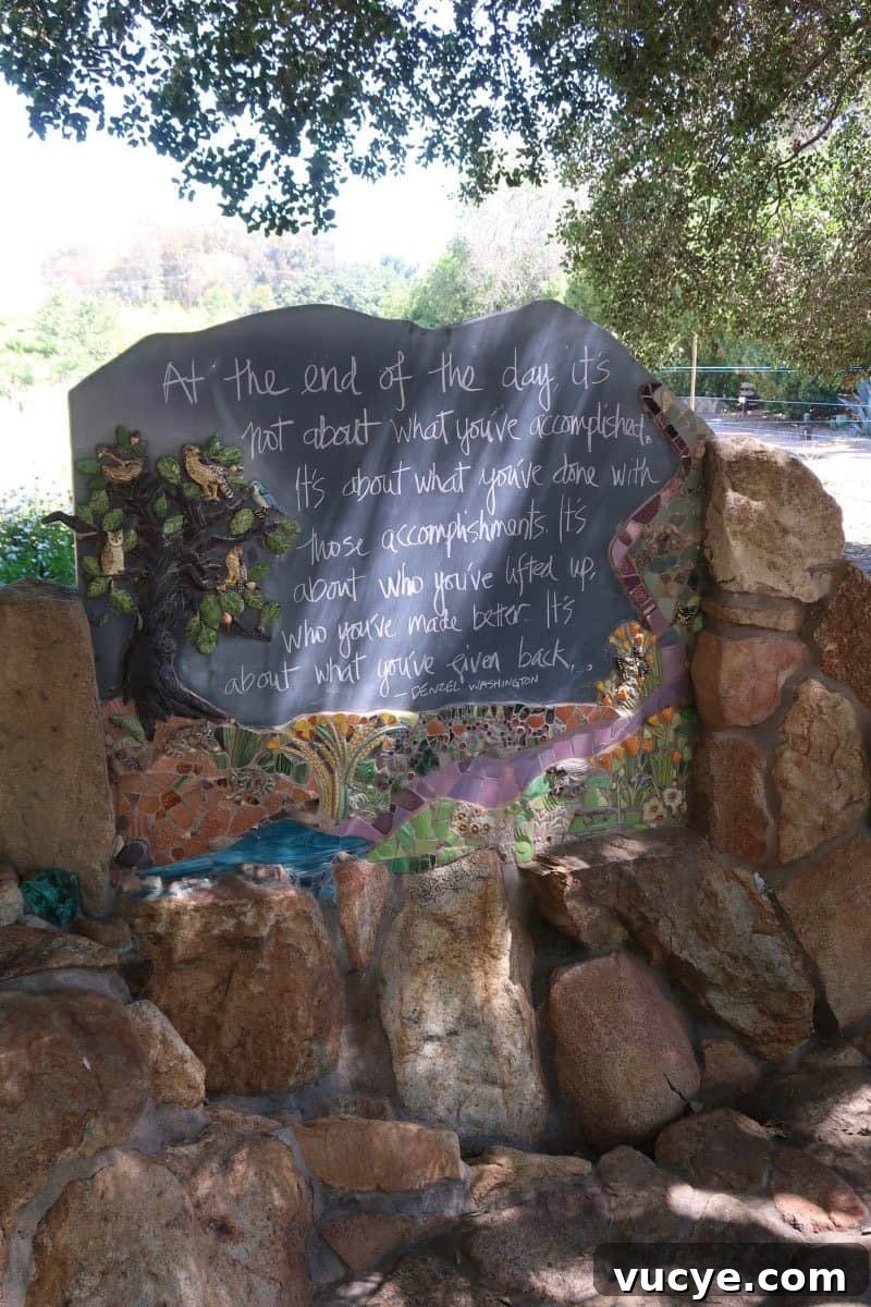 Week at Rancho La Puerta: Your Ultimate Wellness Retreat Guide 7 A message written on a rock wall.
