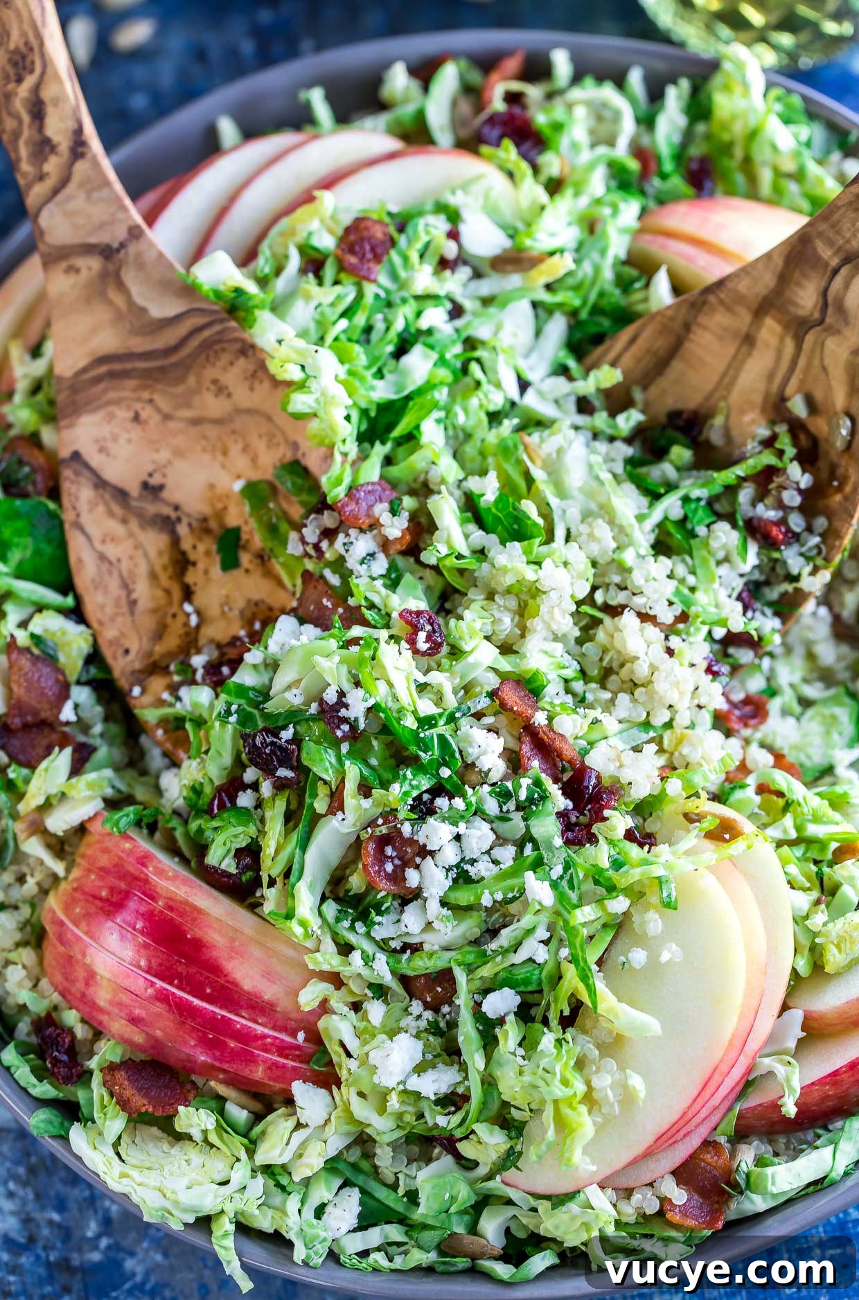 Apple Cranberry Brussels Sprout Salad with Maple Citrus Vinaigrette 2 Apple Cranberry Brussels Sprout Salad with Maple Citrus Dressing
