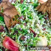 Apple Cranberry Brussels Sprout Salad with Maple Citrus Vinaigrette 7 Apple Cranberry Brussels Sprout Salad with Maple Citrus Dressing