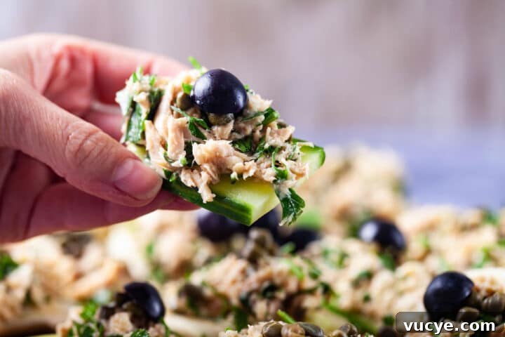 fennel cucumber bites with creamy tuna