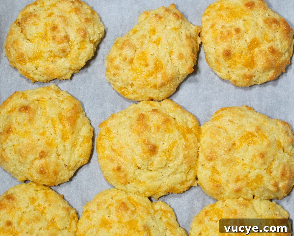 Cheddar Garlic Keto Biscuits6