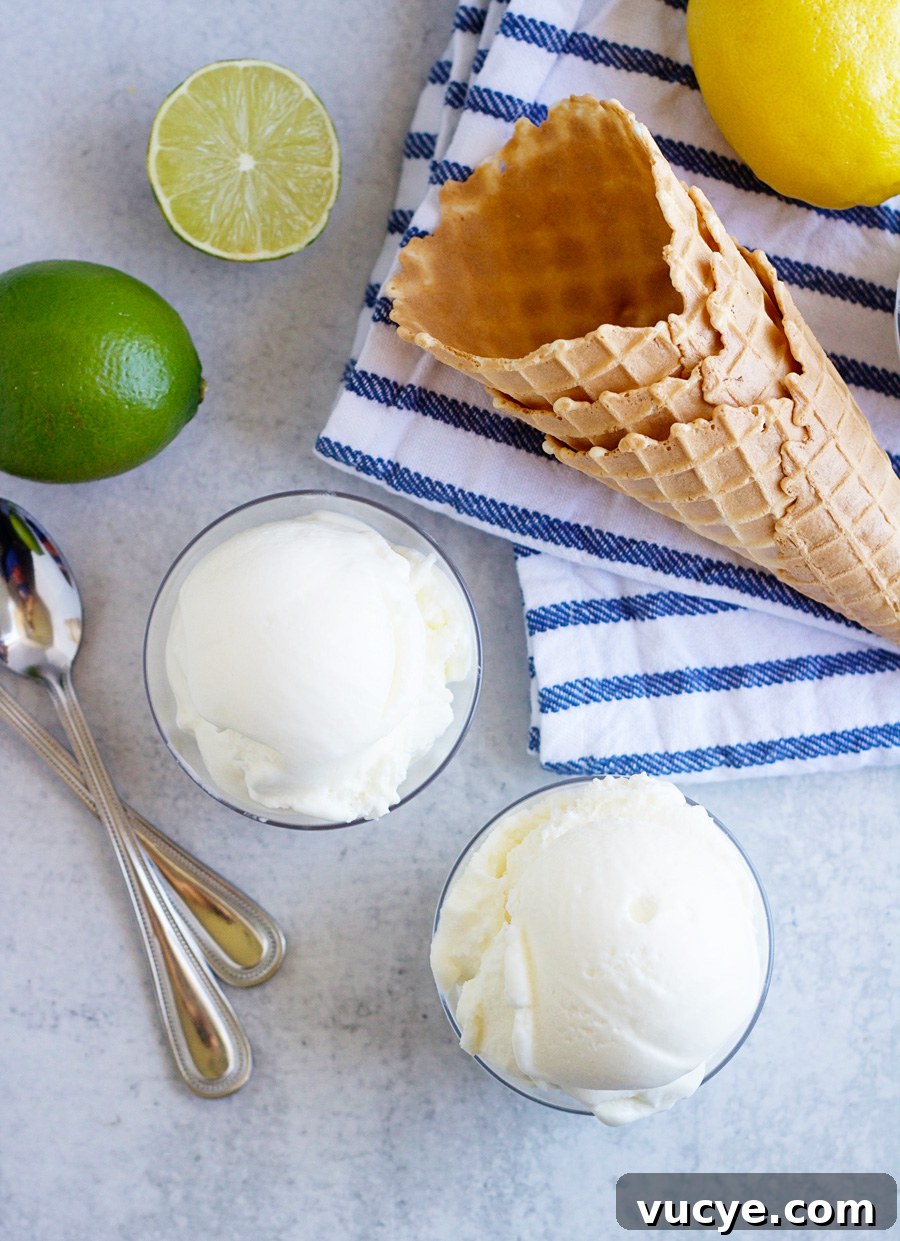 Zesty Lemon-Lime Ice Cream Recipe for Refreshing Homemade Dessert 3 img 25990 2