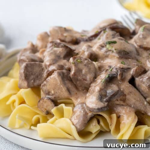 cream of mushroom beef stroganoff with mushrooms on a bed of egg noodles on a white plate.