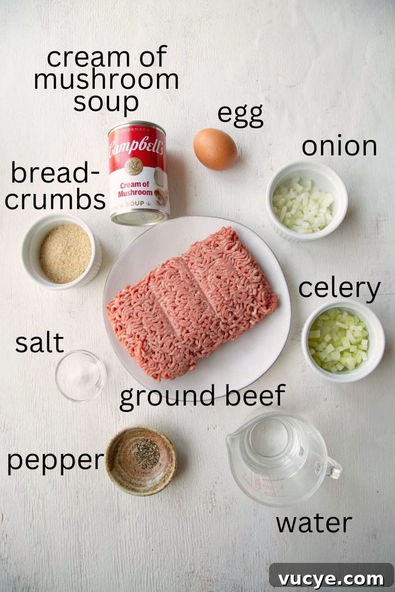 ground beef, cream of mushroom soup, and other ingredients.