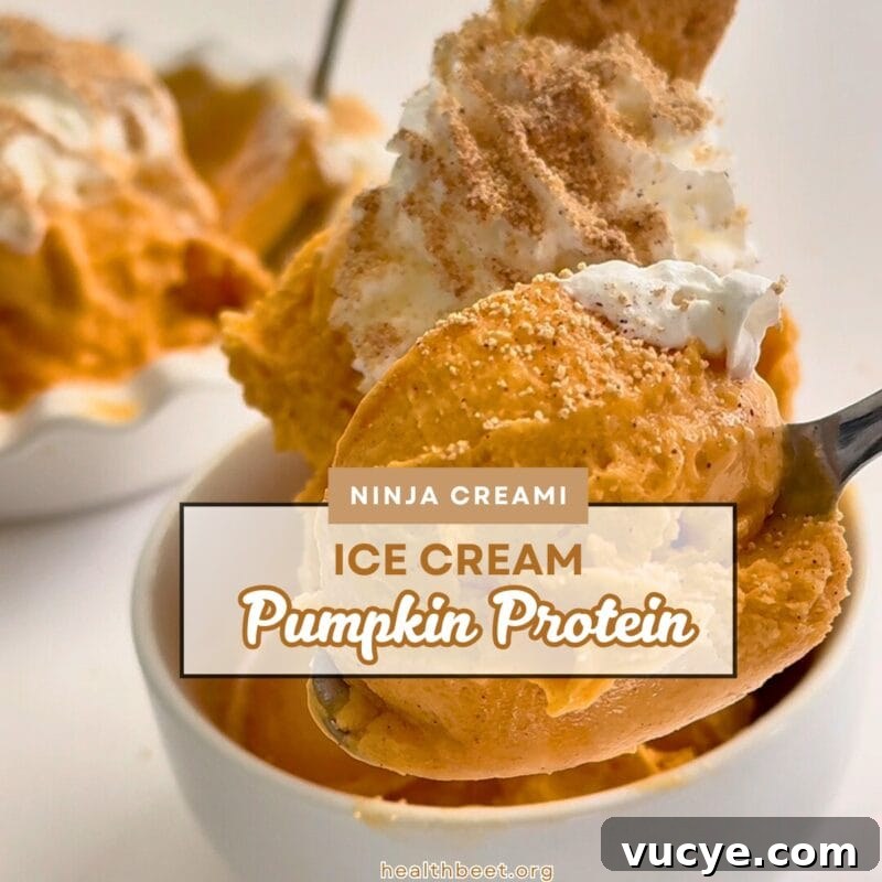 Protein pumpkin Ninja Creami ice cream