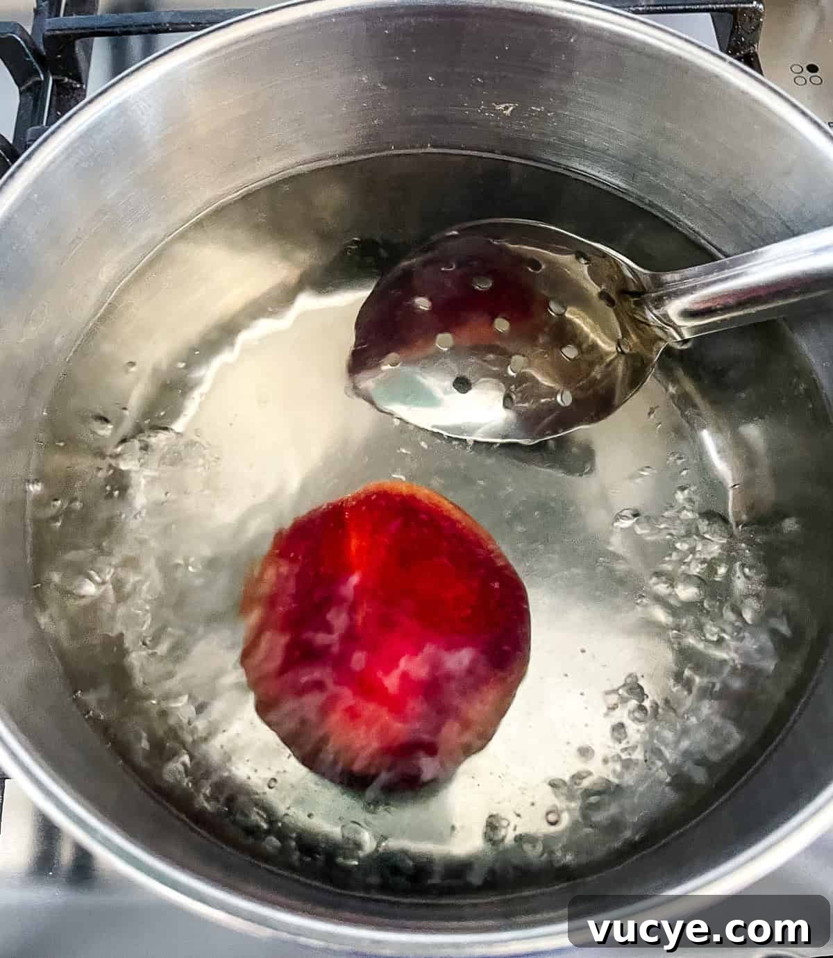 Homemade Peach Milkshake Recipe: Creamy Fresh Peach Shake 5 img 284 5