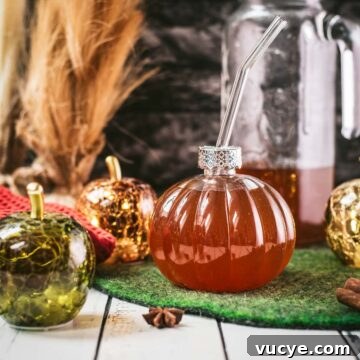 Spiced Apple Cider Recipe: Warm Homemade Mulled Cider 6 Homemade spiced apple cider in pumpkin shaped drinking glass.