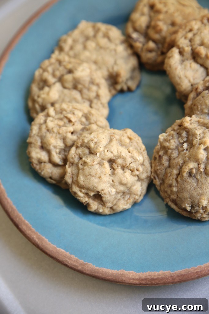 Day 10: Cornflake Chocolate Oatmeal Cookies Recipe 3 IMG_8077