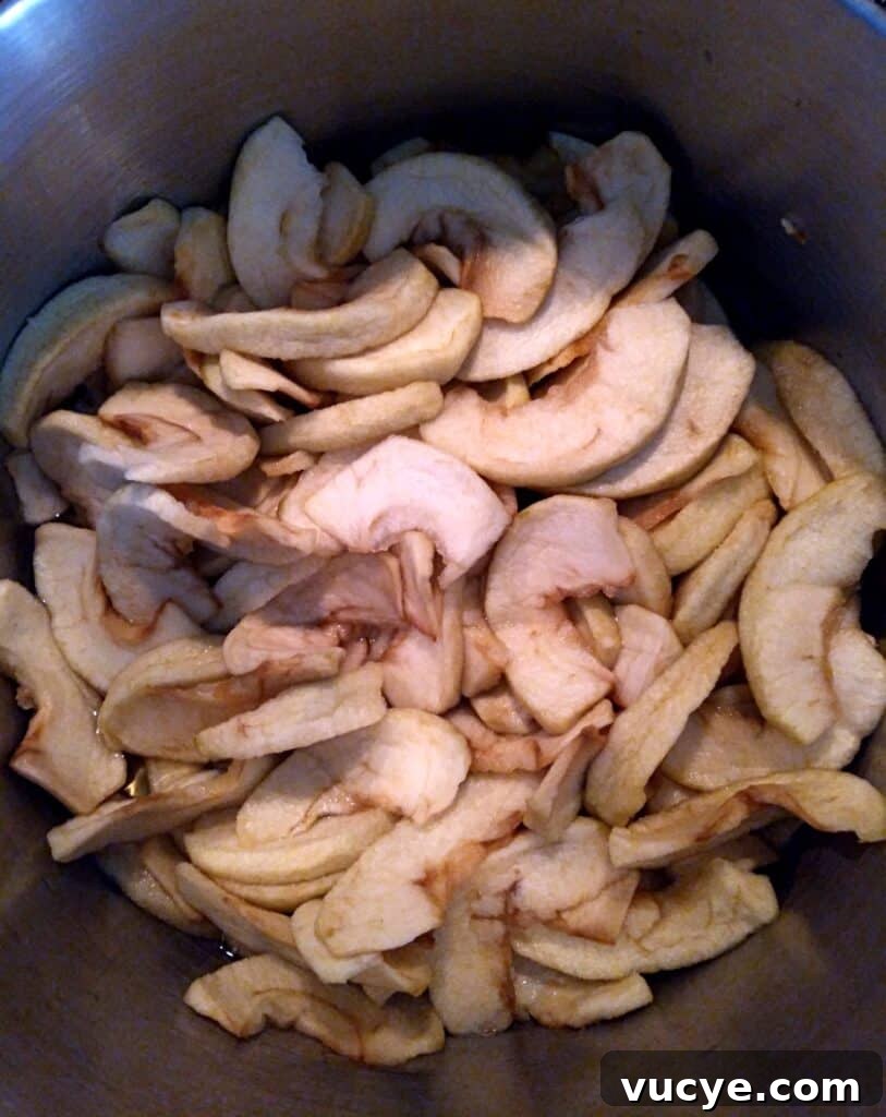 Amish Apple Schnitz Pie Recipe: Classic Rustic Pie Guide 2 dried Apple slices soaking in water.