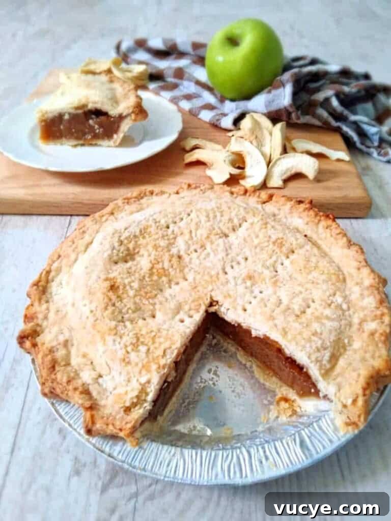 Amish Apple Schnitz Pie Recipe: Classic Rustic Pie Guide 4 apple schnitz pie with a slice removed.
