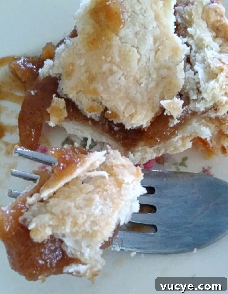 Amish Apple Schnitz Pie Recipe: Classic Rustic Pie Guide 5 cutting into and enjoying a slice of Schnitz pie.
