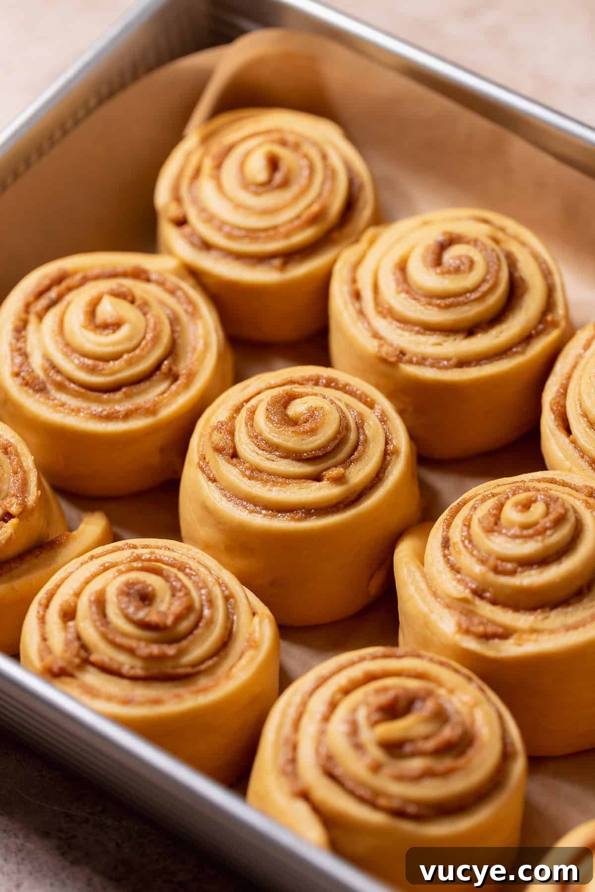 Ultra-Soft Gingerbread Cinnamon Rolls with Molasses Swirl 7 Gingerbread rolls in a baking pan showing they have doubled in size before baking.