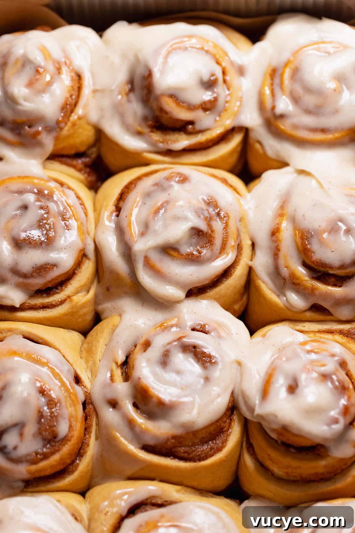 Ultra-Soft Gingerbread Cinnamon Rolls with Molasses Swirl 8 Gingerbread buns with spiced gingerbread cream cheese icing in a baking pan.