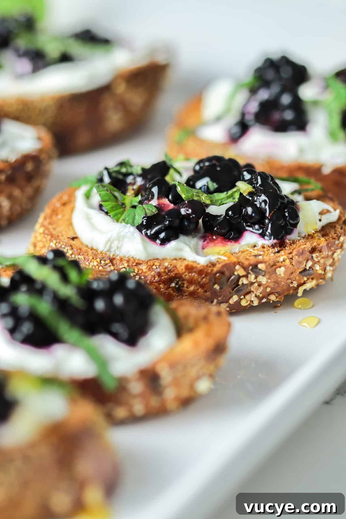 Whipped Goat Cheese and Blackberry Crostini Recipe 2 Crostini with whipped goat cheese and blackberry.