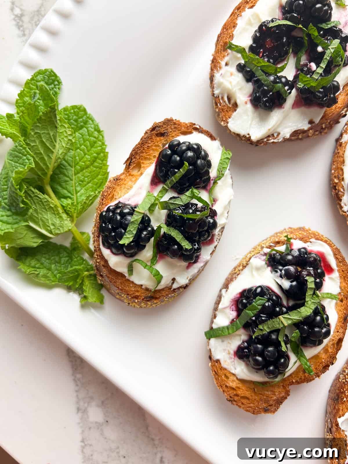 Whipped Goat Cheese and Blackberry Crostini Recipe 6 Crostini with whipped goat cheese and blackberry.