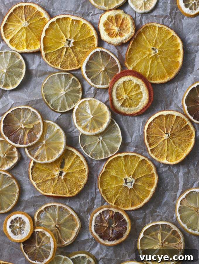 How to Make Homemade Dried Citrus Wheels for Garnishes and Snacks 2 Homemade Dried Citrus Wheels