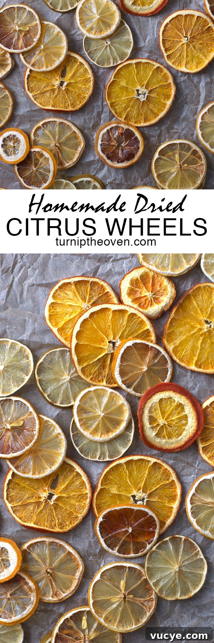 How to Make Homemade Dried Citrus Wheels for Garnishes and Snacks 5 These homemade dried citrus wheels are a fantastic DIY project! Use them to make flavored salts and sugars, decorate cakes, or dip them in chocolate. They are gluten-free, vegan, and all-natural, too!