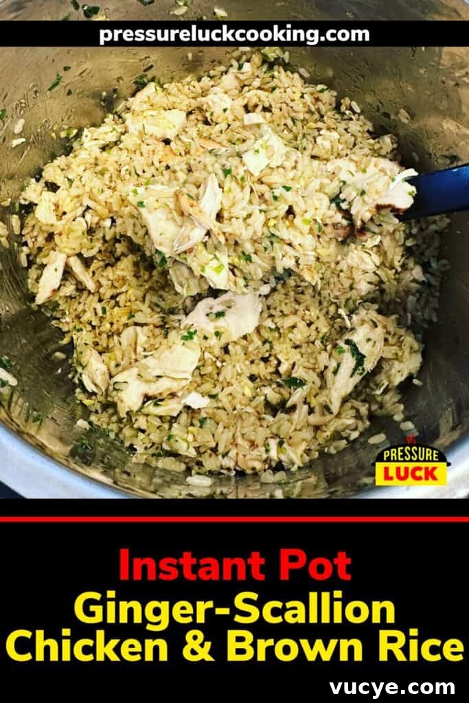 Instant Pot Ginger Scallion Chicken and Rice Bowl 2 Ginger-Scallion Chicken & Brown Rice