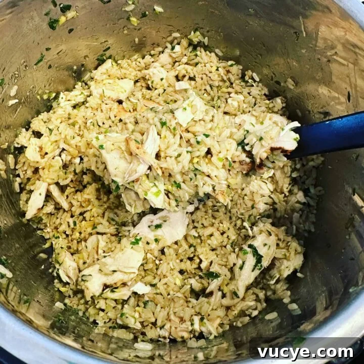 Instant Pot Ginger-Scallion Chicken & Brown Rice