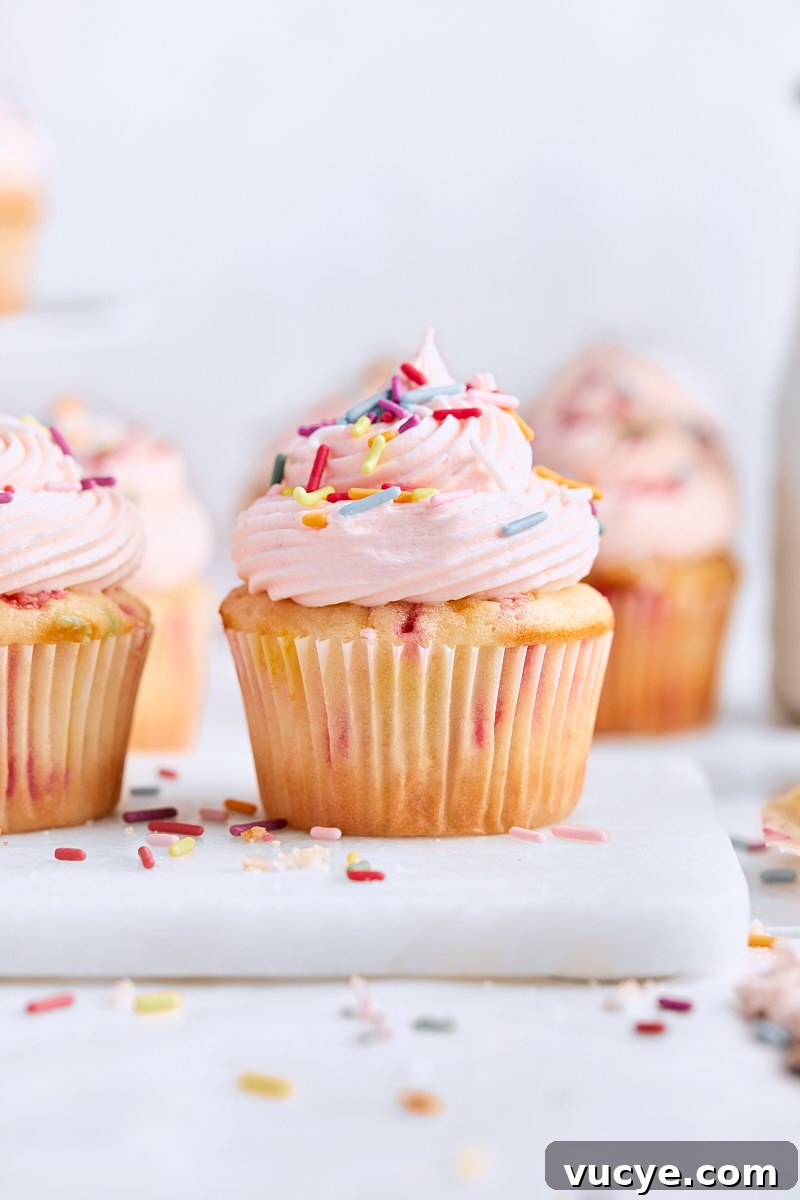 Classic Homemade Funfetti Cupcakes Recipe for Celebrations 2 Homemade Funfetti Cupcakes