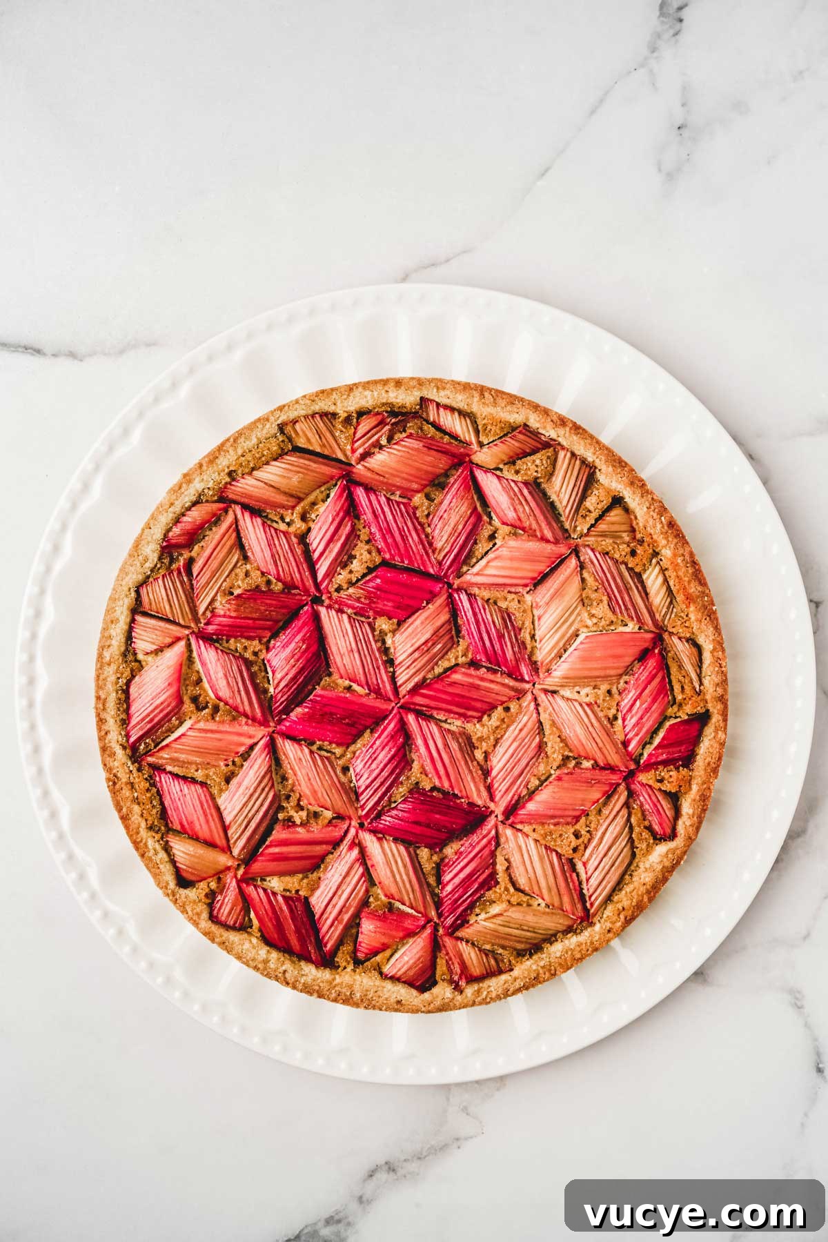 baked geometric rhubarb tart