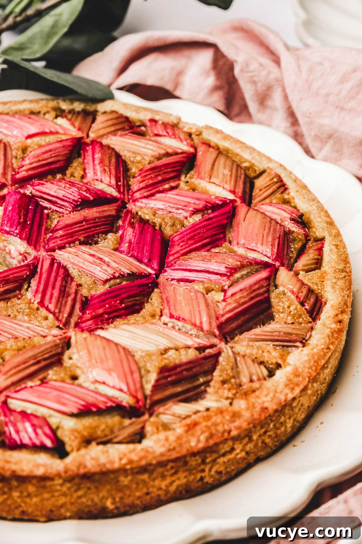 rhubarb tart on a plate