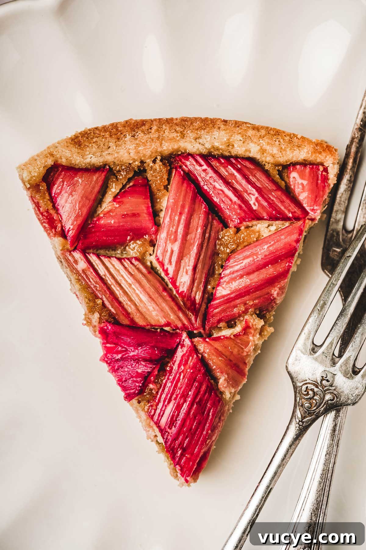 slice of rhubarb tart