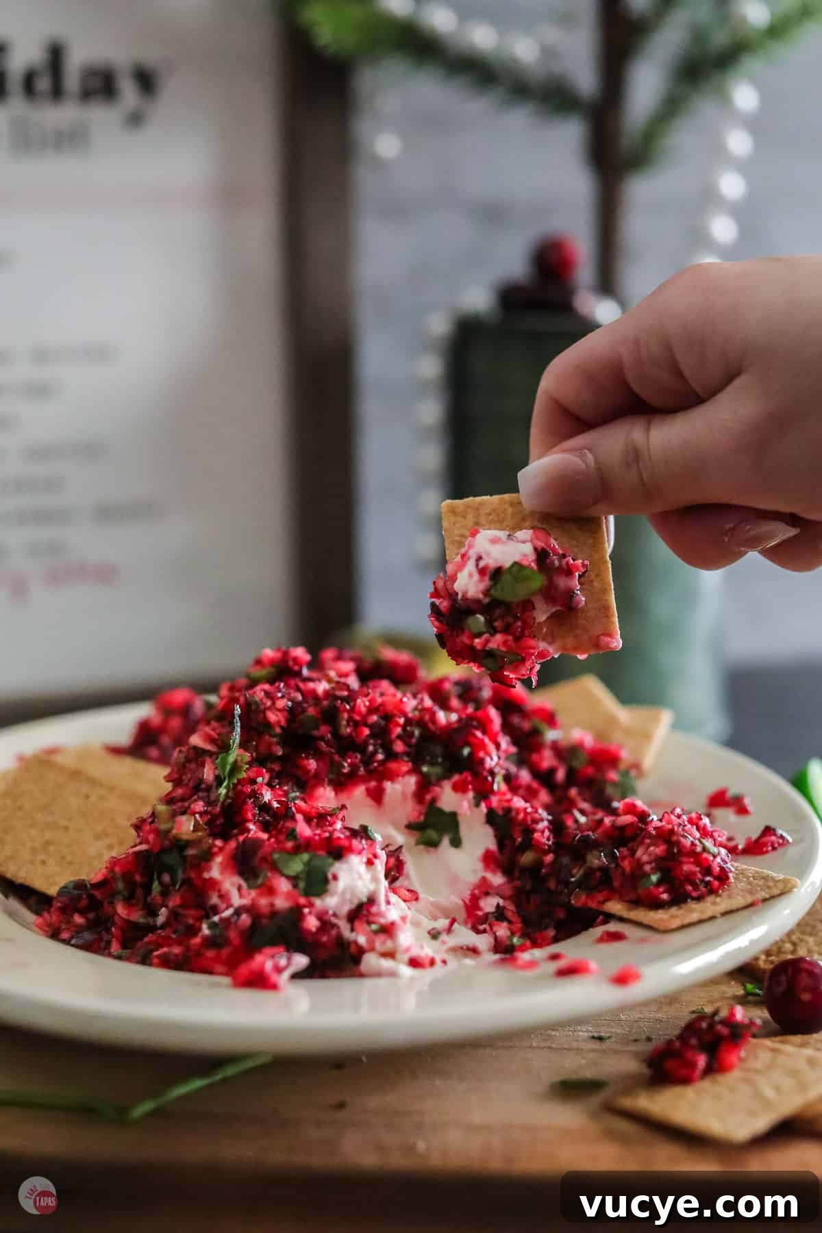 Creamy Cranberry and Cream Cheese Dip for Parties 11 cracker with cranberry cream cheese dip