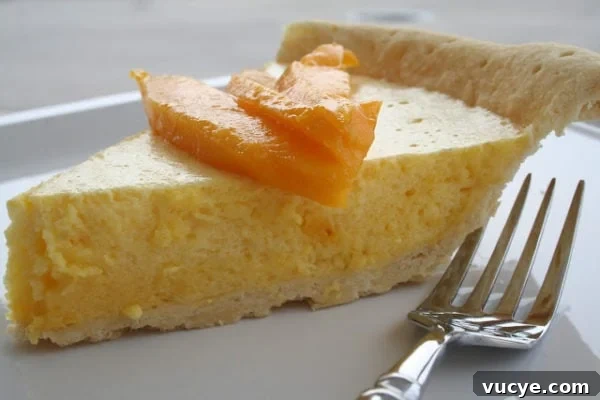 Light and Fluffy Mango Chiffon Pie Recipe 2 img 3761 1