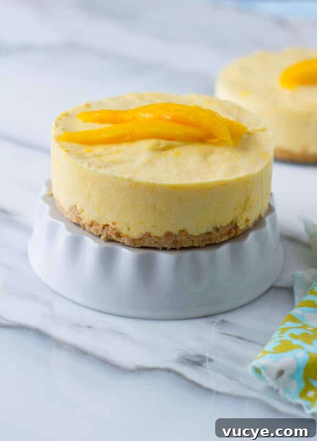 Light and Fluffy Mango Chiffon Pie Recipe 5 I'm obsessed with mango and this dessert was seriously incredible! Especially that macadamia nut crust! Plus, it's actually really easy! ohsweetbasil.com_