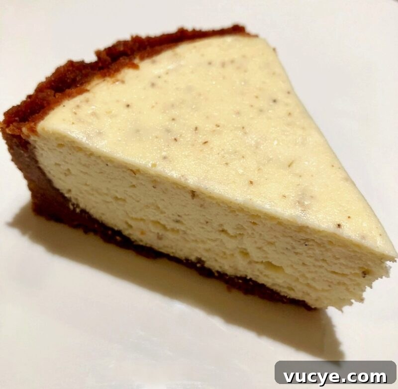 a slice of lavender cheesecake with honey almond crust.