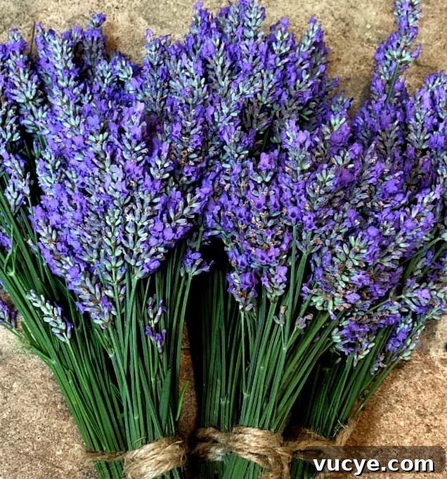 lavender bunches for drying.