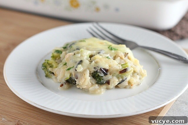 Creamy chicken and rice casserole with wild rice